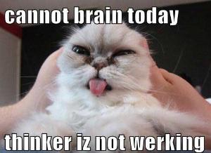 1e0a2d08ca72844e899546140b8aeb50