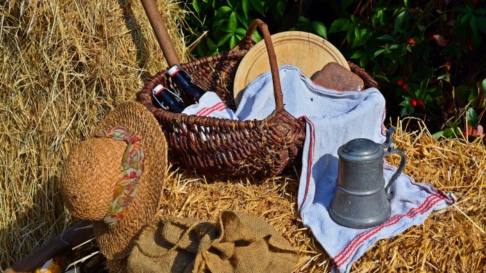 harvest-1642290_1920