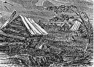 canoes