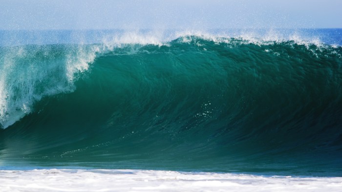 ocean-918999