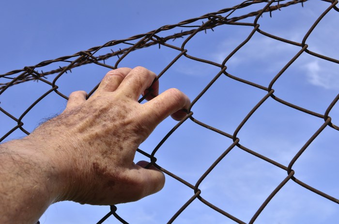 barbed-wire-1408454.jpg