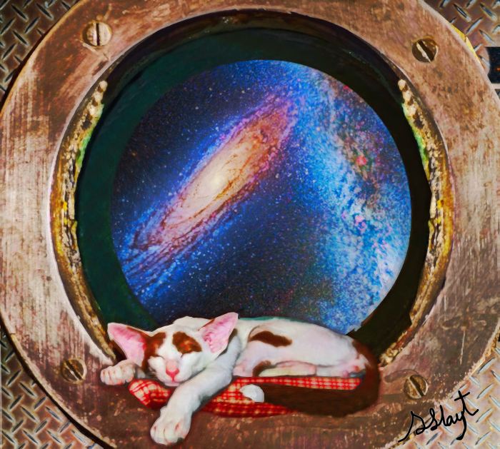 kingofthespaceways18