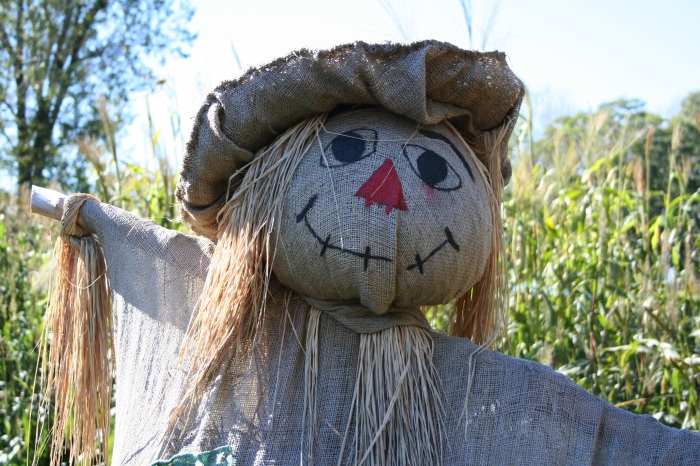scarecrow-1714851