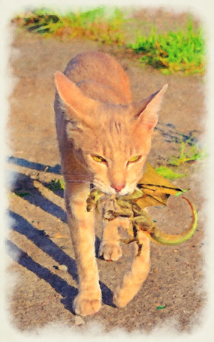 hewasanuppittylizard