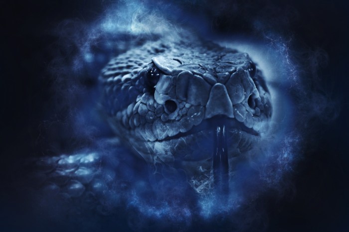 rattlesnake-1892417_1920