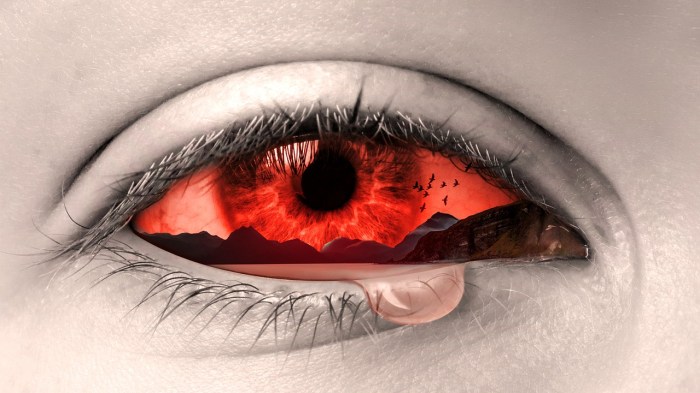 eye-2274884_1280