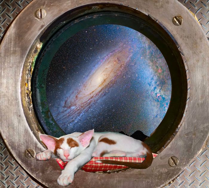 king of the spaceways