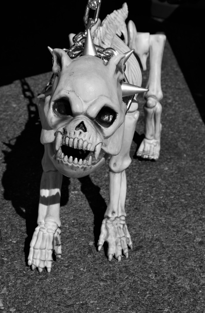 skeleton-dog-1784681_1920