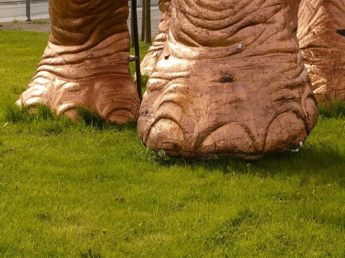 elephant-foot-52536_1920