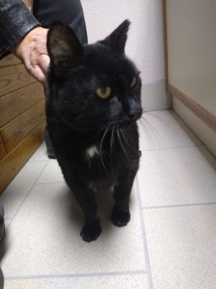 79541189_10216401398895768_8640849543803437056_o