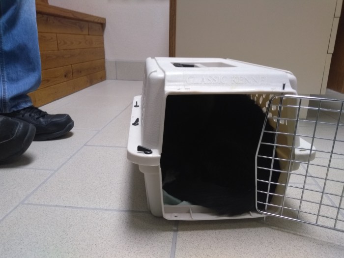 IMG_20191209_090348245