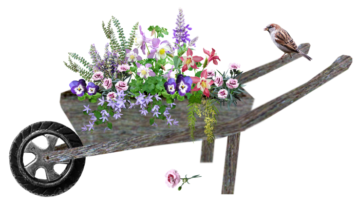 wheelbarrow-4955698_1920