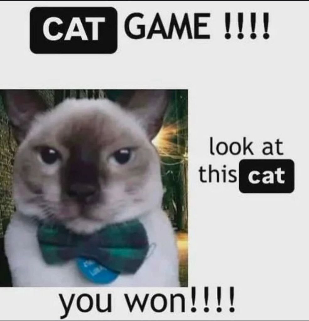 1931012879323193344