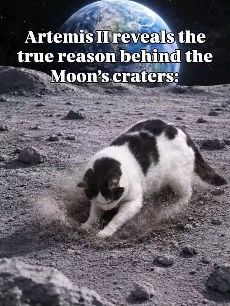 1935729343057629184