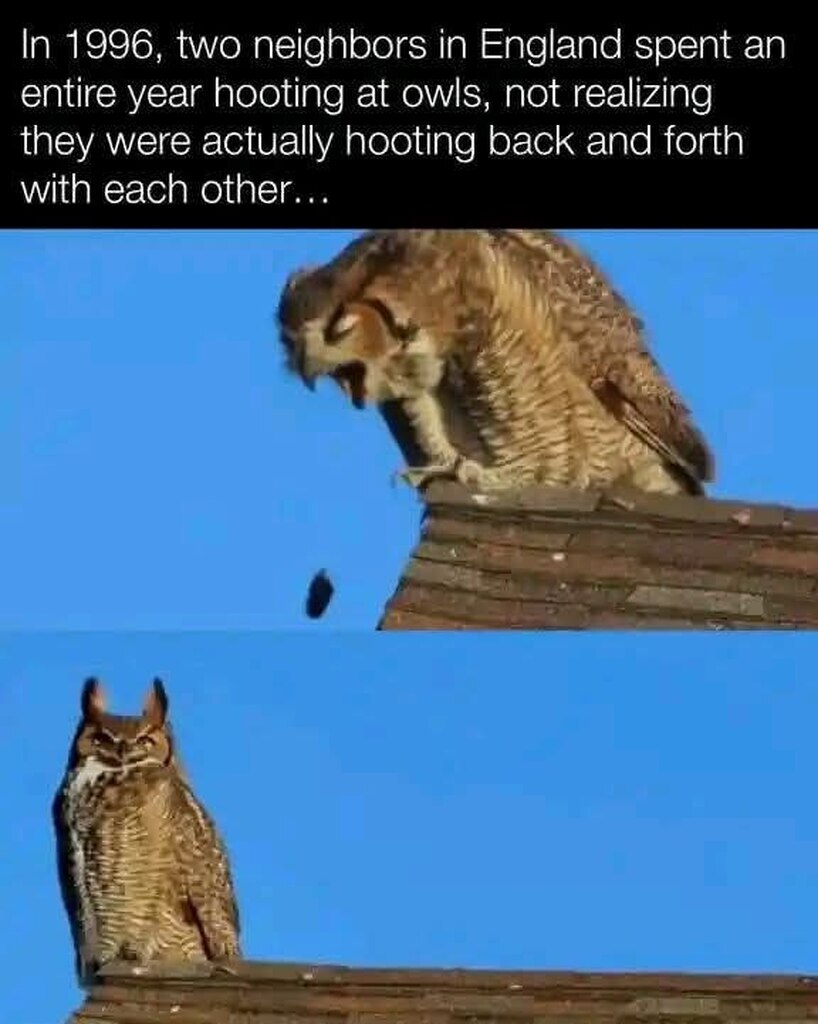 1937517041476968448