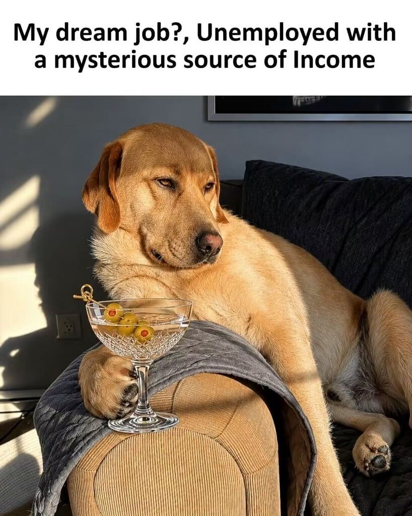 1938434583737622528