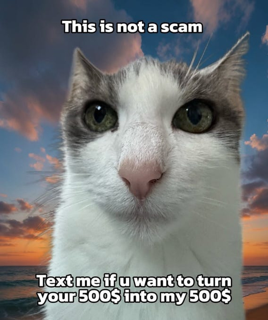 1938881259665317888