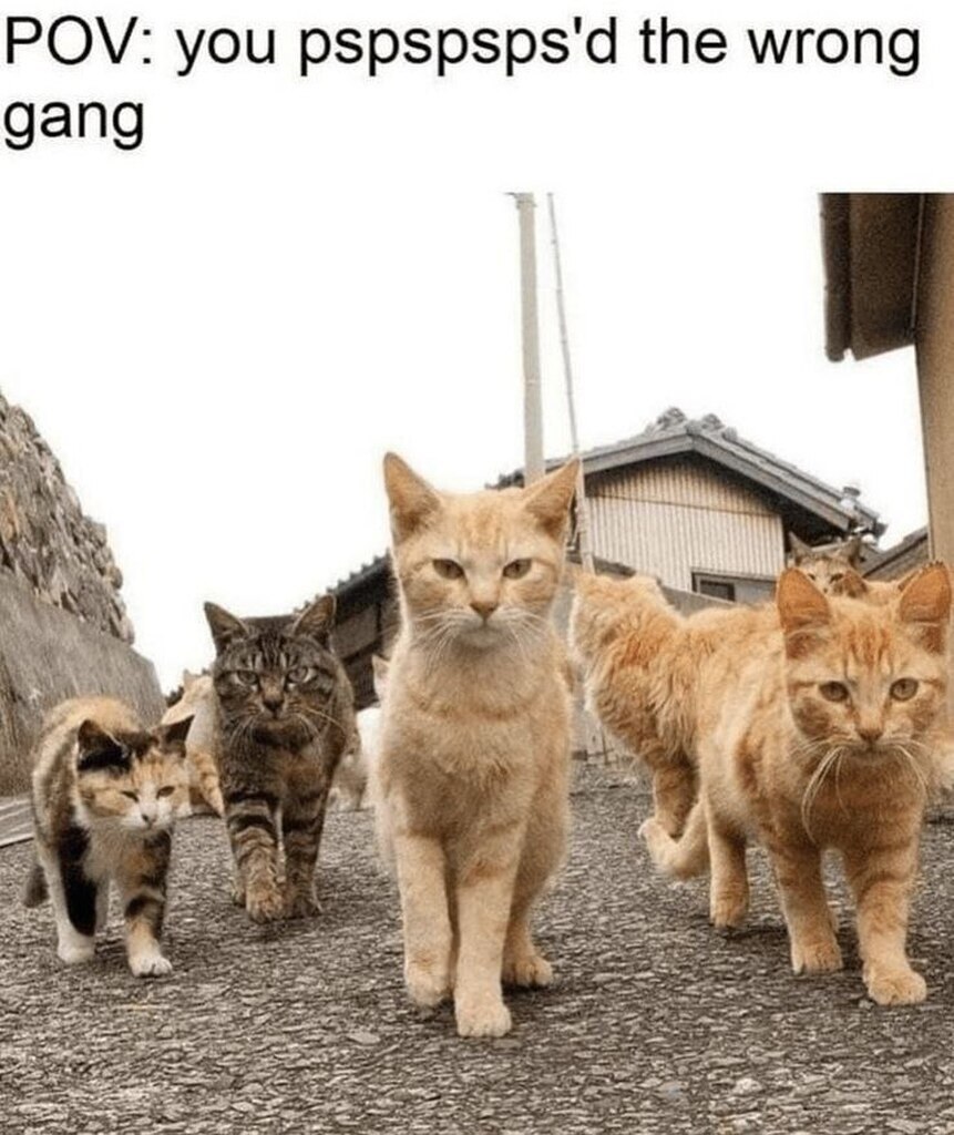 1939283992528297984