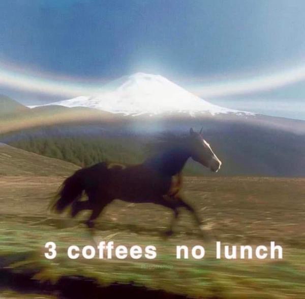 3 coffees no lunch Coffee Memes