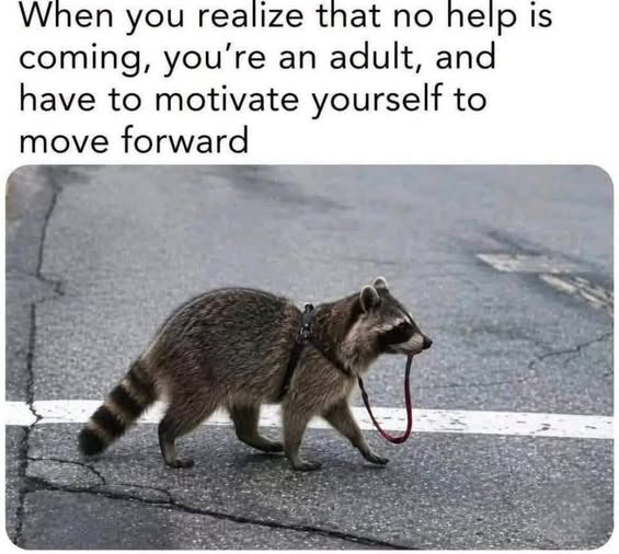772102305 10164767945447436 663988502304768485 n