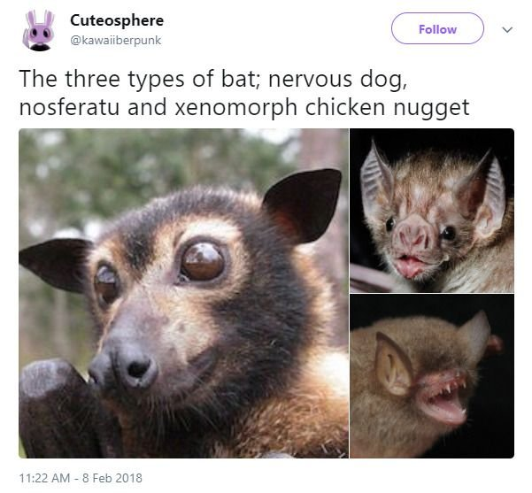 HQqgEYcaIAAziqY