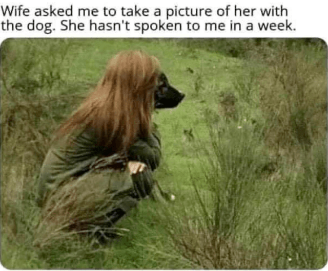 meme wife with dog