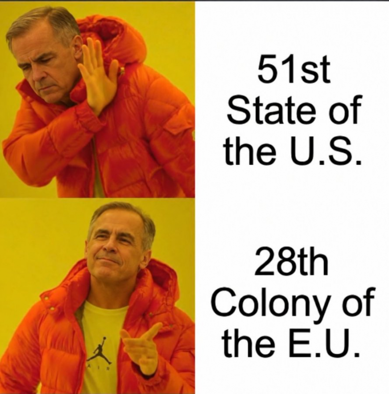 017ca0b70fd8e19d5db679adfb4d3287516005207c64d5aaab6b38ddda939653