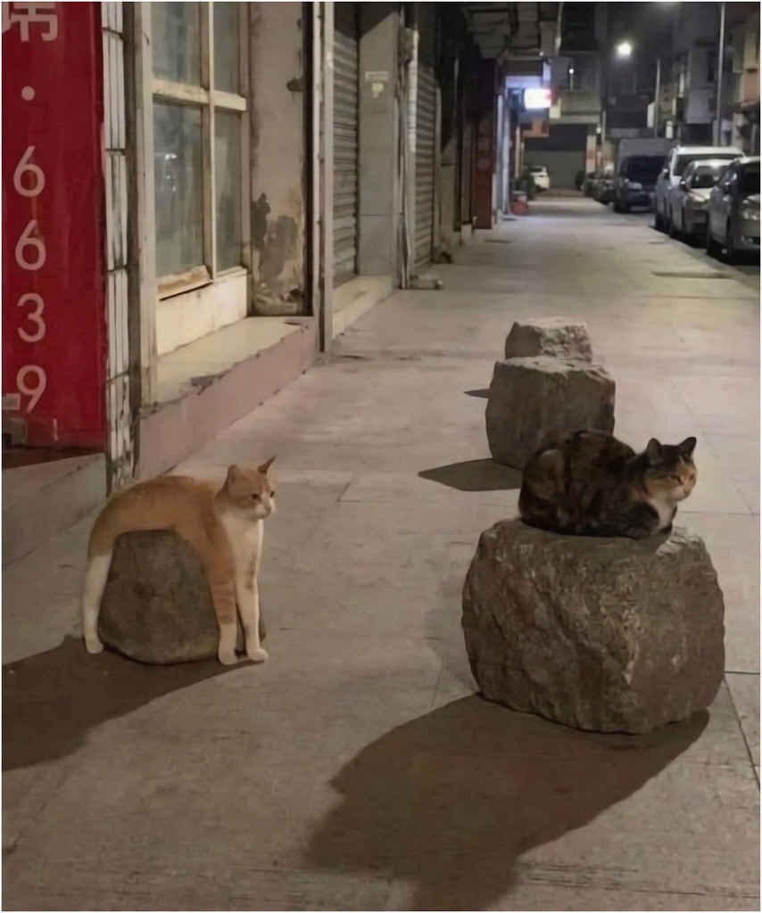 1940871887785562112