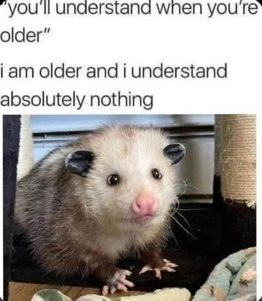 1945579640248606720