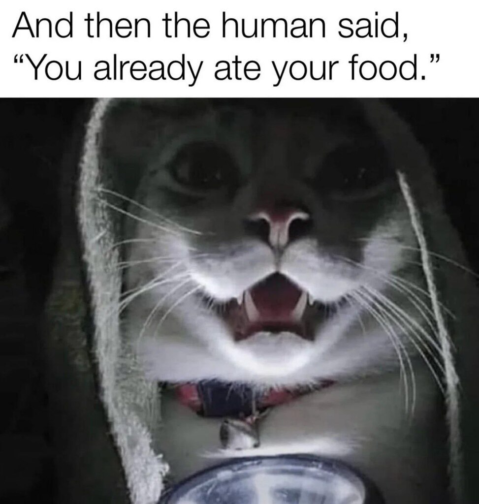 1946619587650916352