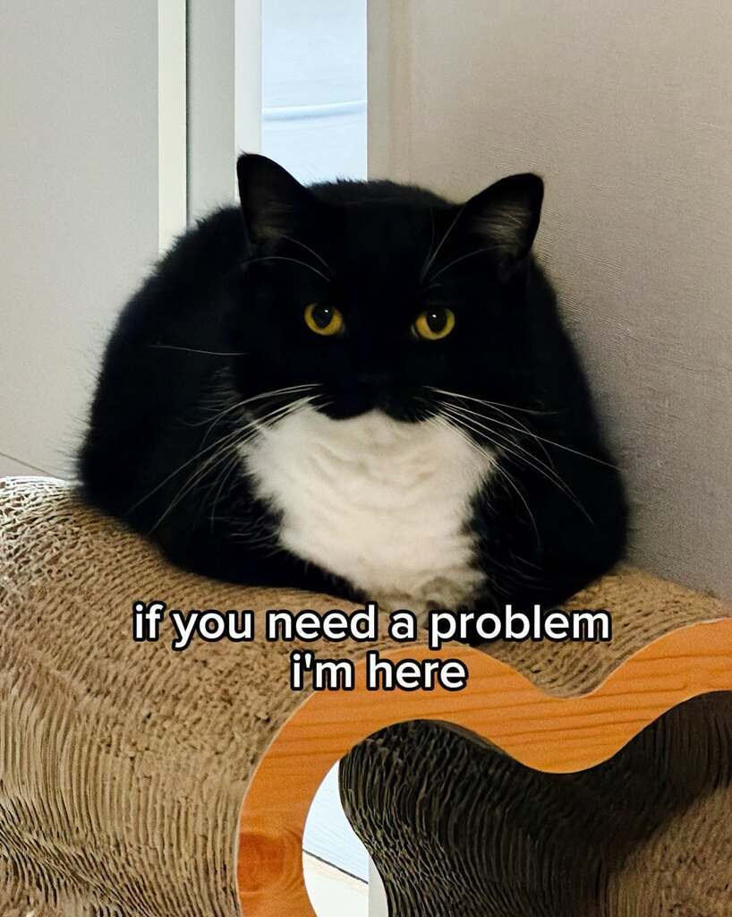 1948154622891790336