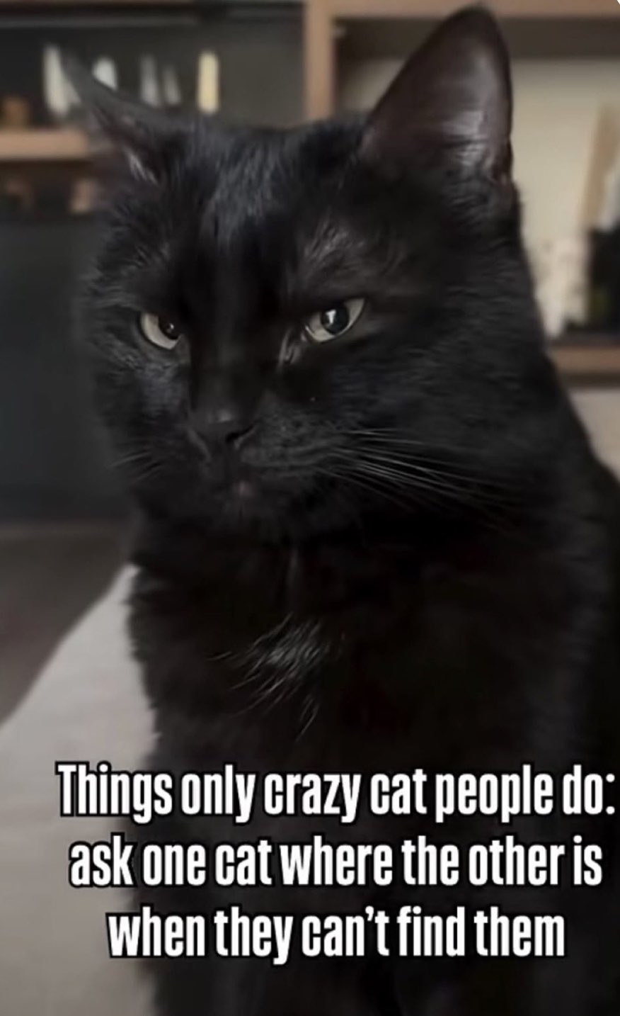 askcat