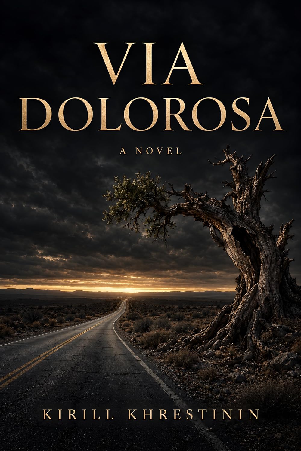 Cover of Via Dolorosa: A Novel