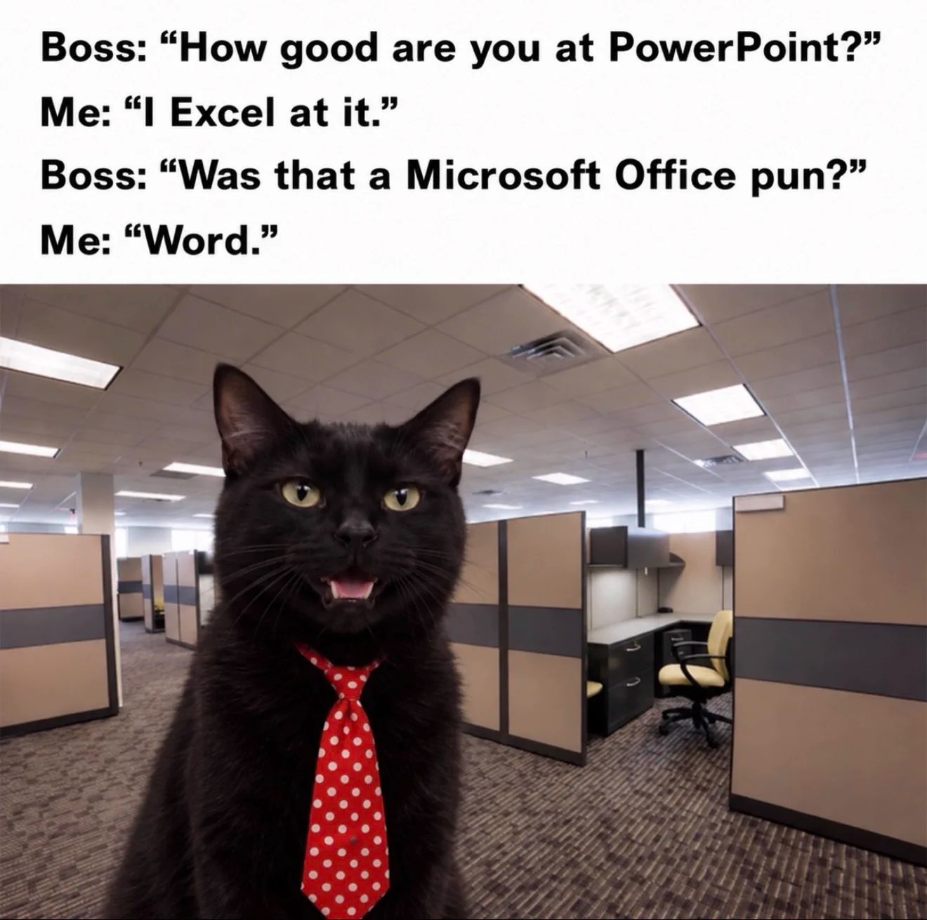 blah