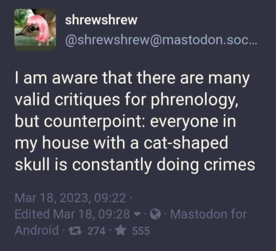 cat shaped skull crimes
