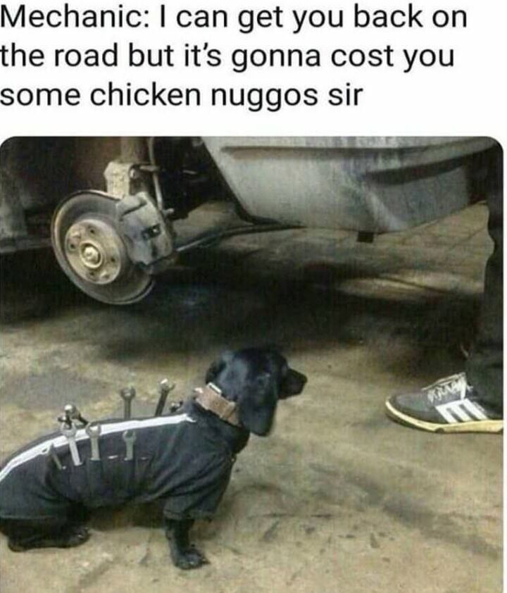 doggo mechanic chicken nuggos
