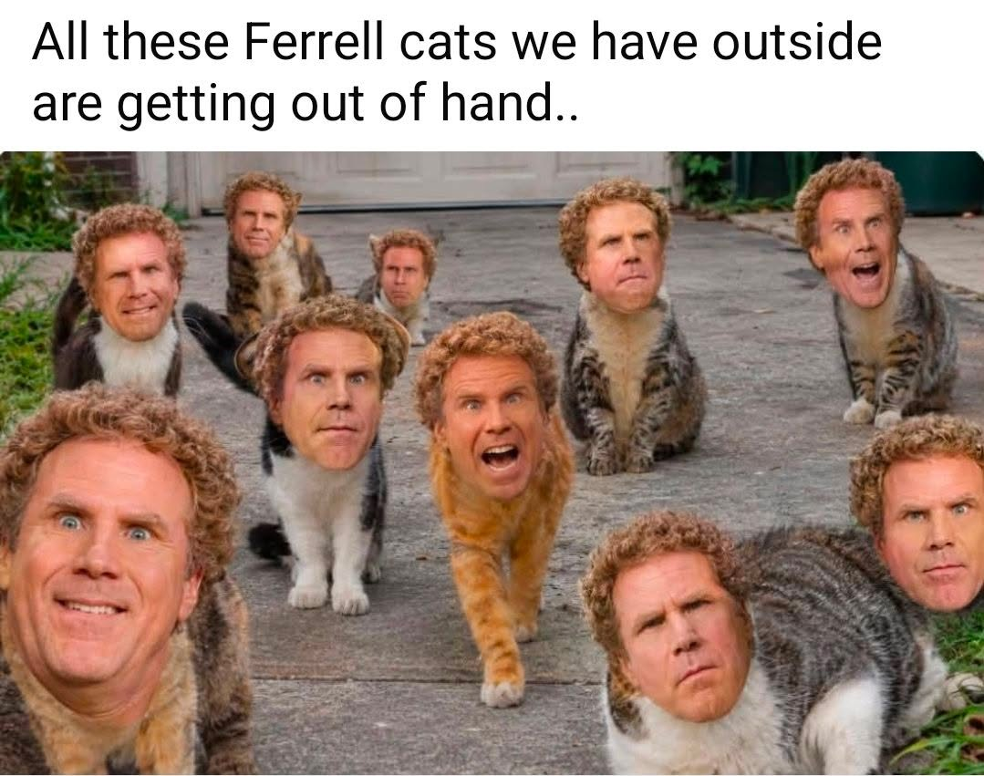 ferrel