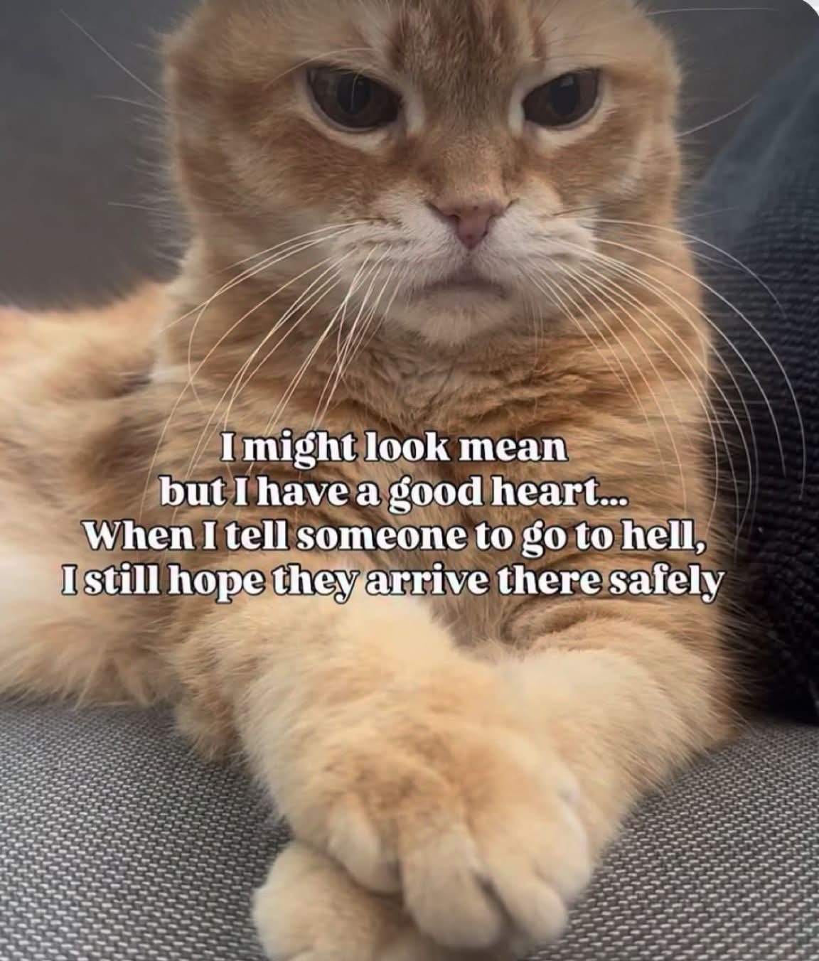 IMG 7260