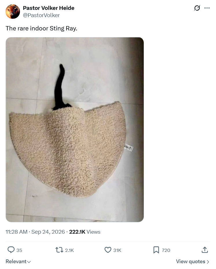 indoor stingray
