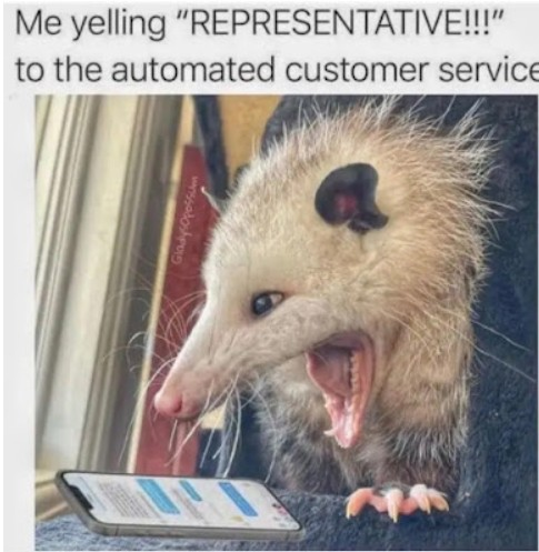 joke yelling