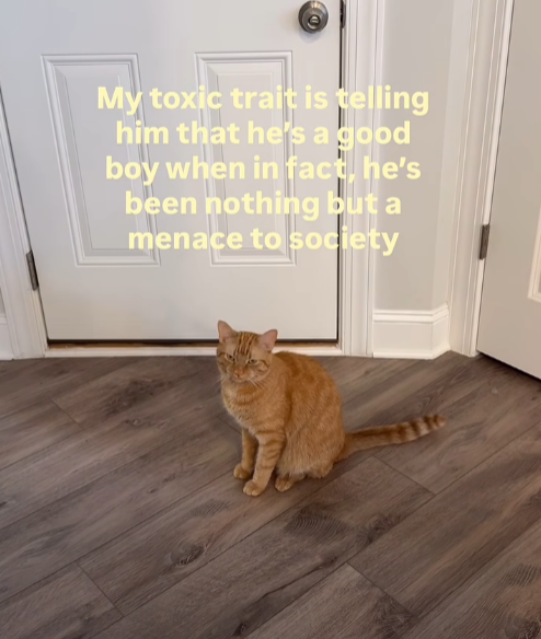 menace