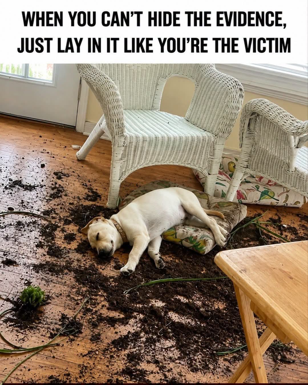victim