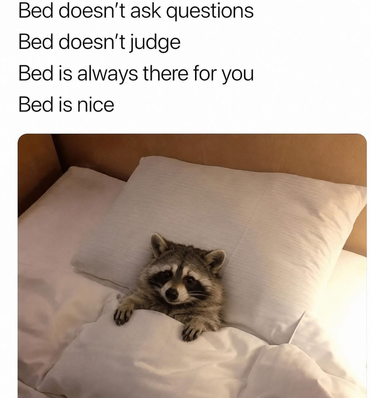 0948e58c7b0ae7c94c0e7ab12009b036
