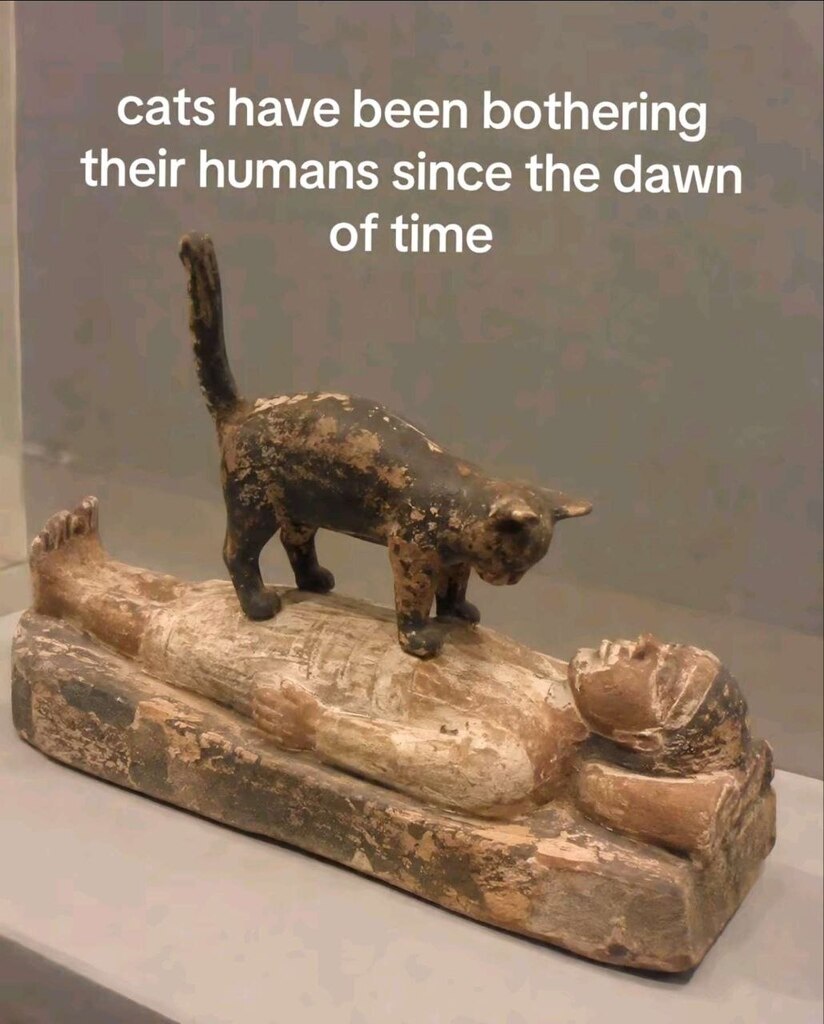 1951325964977836032
