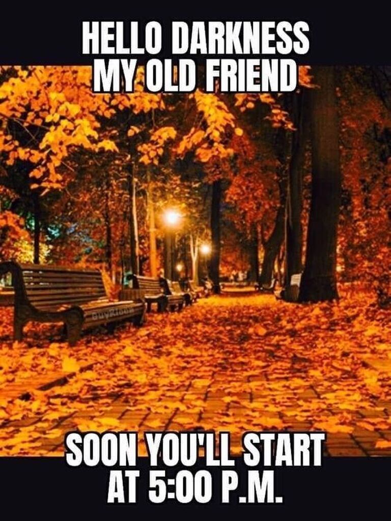 195256402381185843fff2