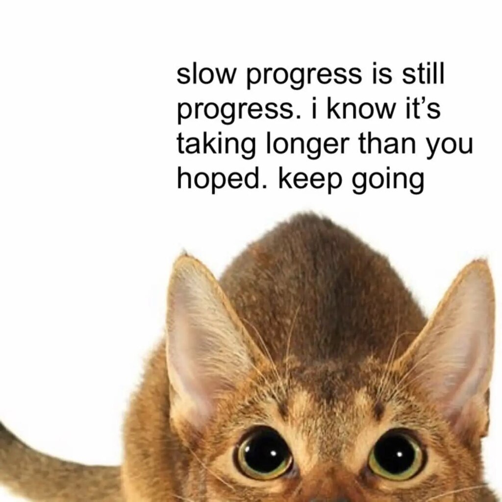 1952841175987871744