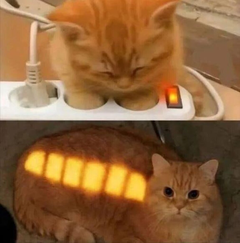 1953489605122809856