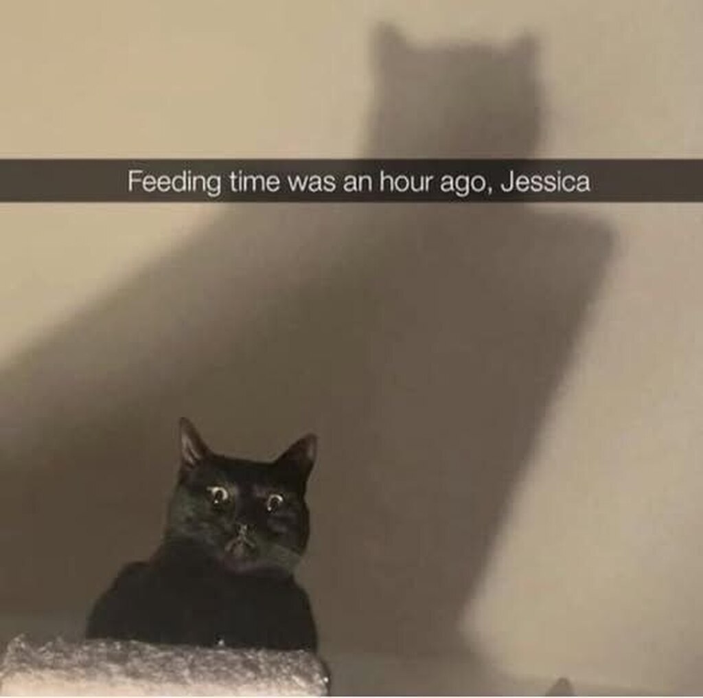 1953927966492725248
