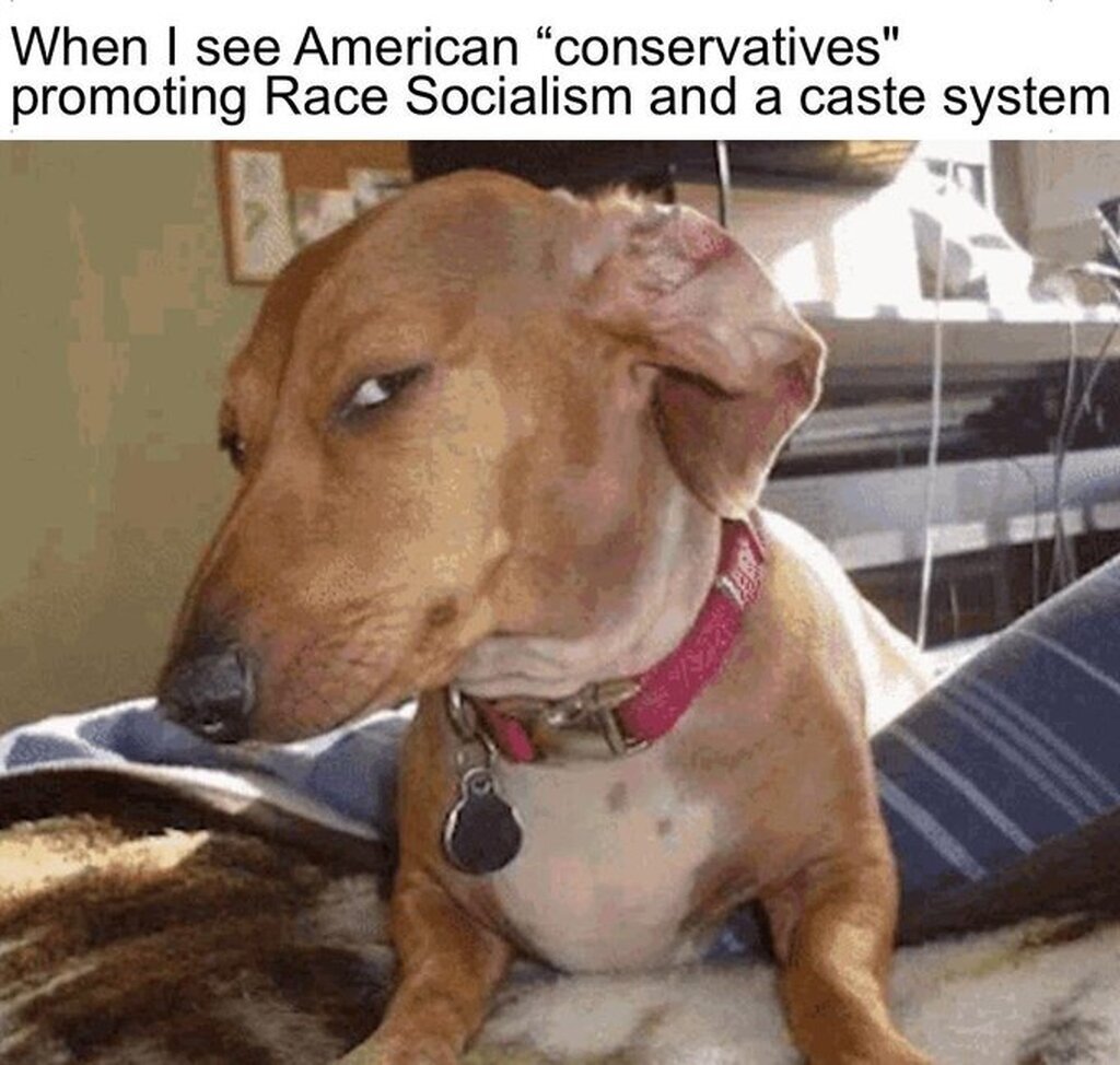 1954637057720803328