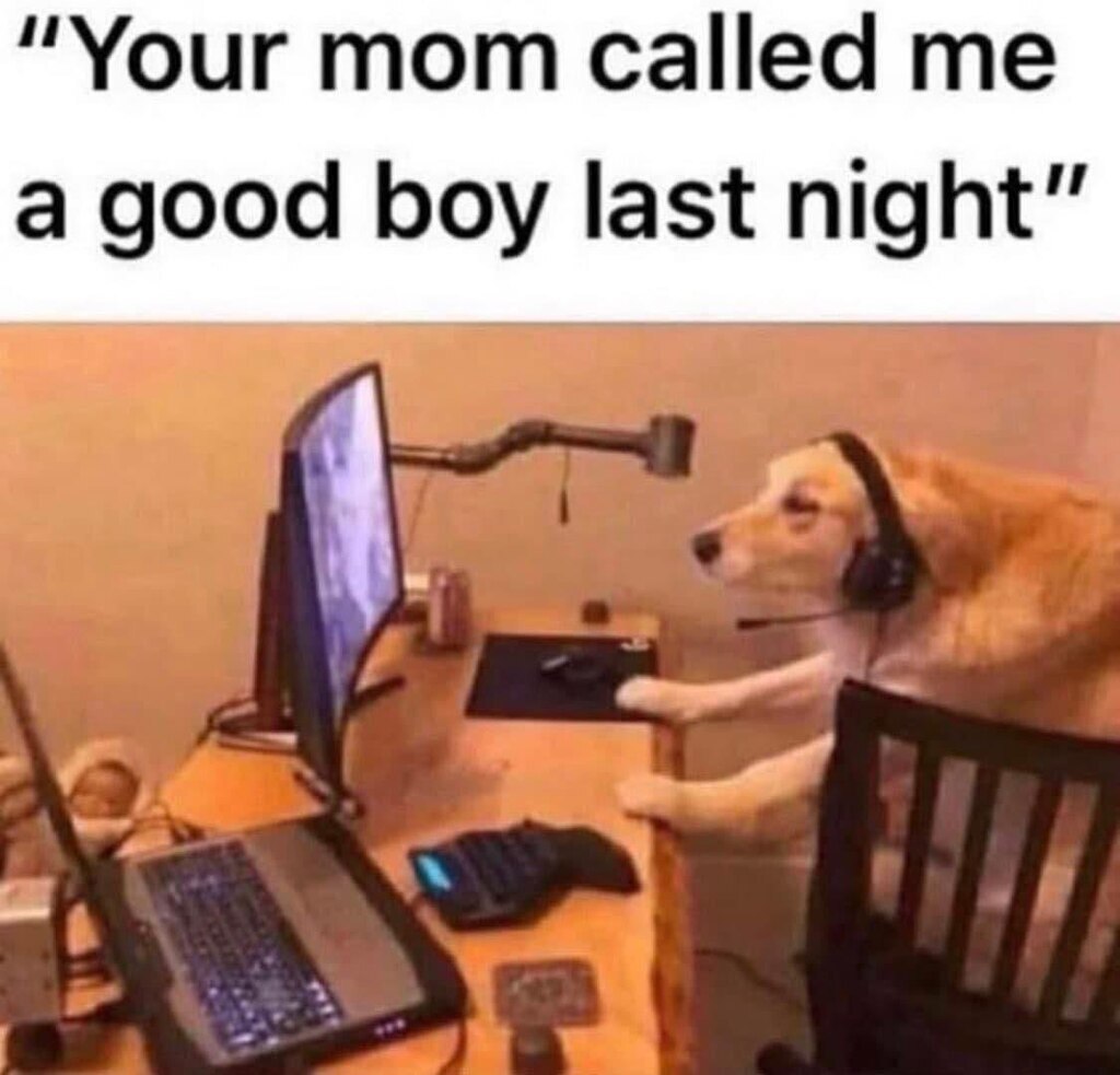 1954682995394744320